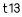 t13